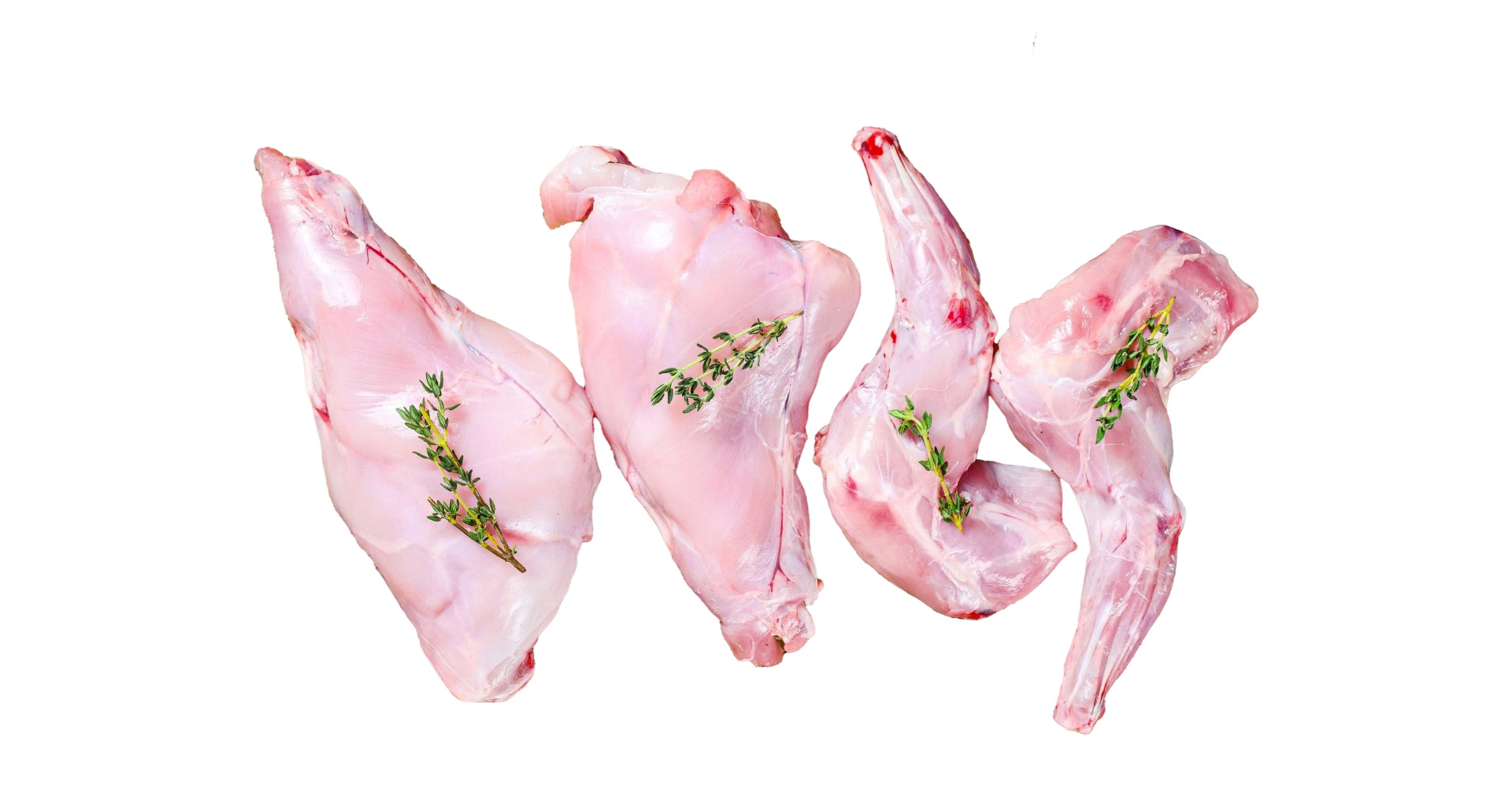 Lapin